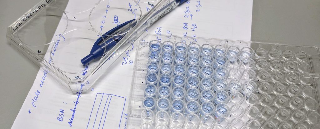 An image of a 96 well plate, a pen, and some paper on a lab bench.